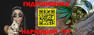 бутират Кингисепп